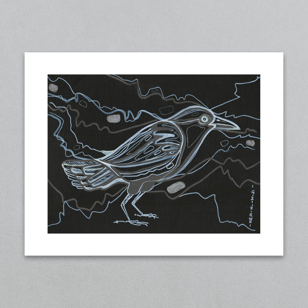 Dark Raven – Ingaged Creative Marketplace
