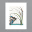 Heron Background