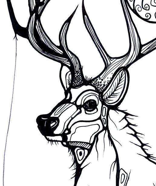Elk Art Print