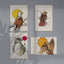 Baswenaazhi/ "Echo Maker" Art Card Set